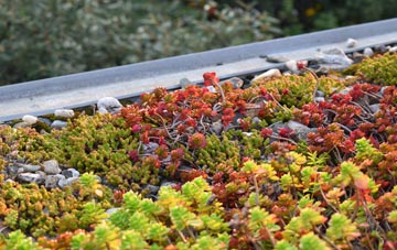 the cost of West Side green roof installation